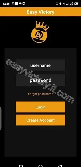 Screenshot of Easy Victory Performance Booster